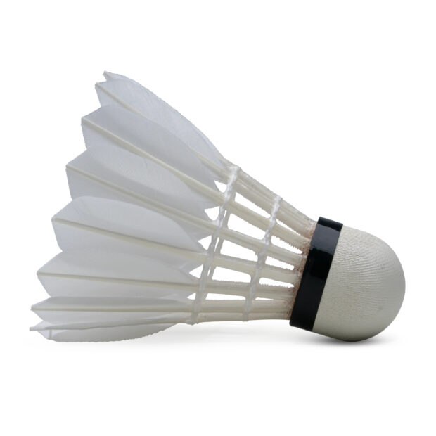 Hundred F8 Feather Badminton Shuttlecock